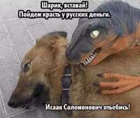 400x339