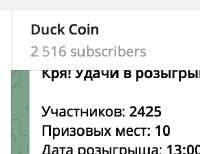 394x304