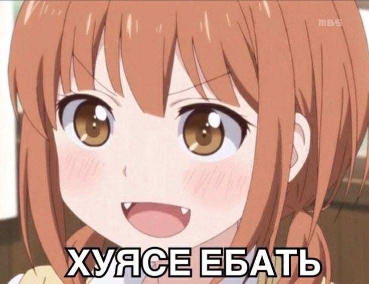 736x568