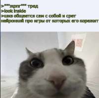 642x639