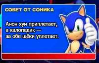 480x309