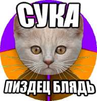 362x378