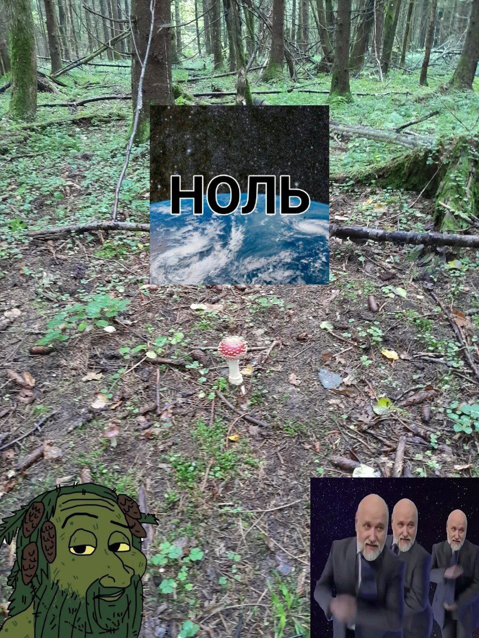 960x1280