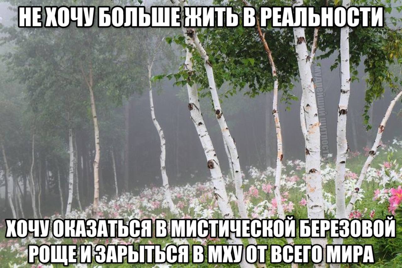 1280x853