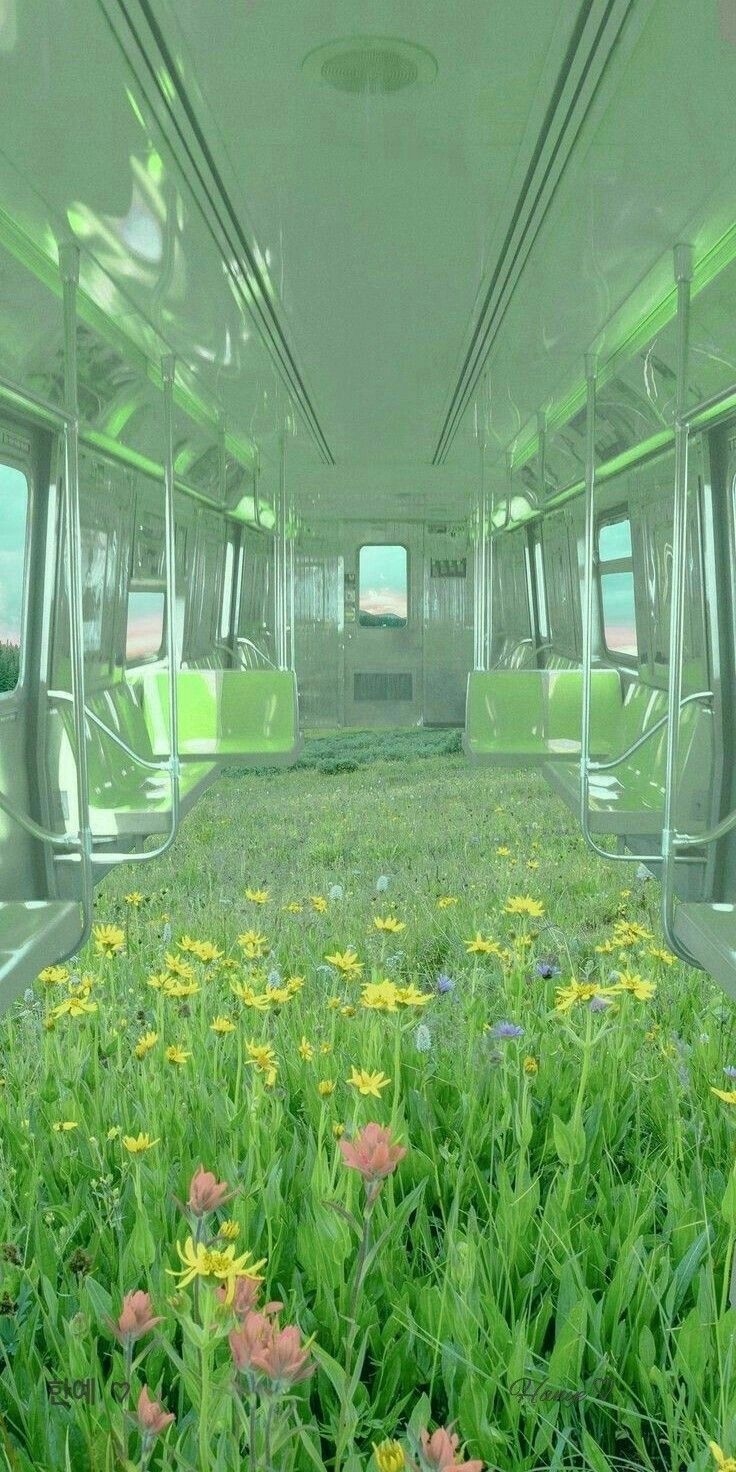 736x1472