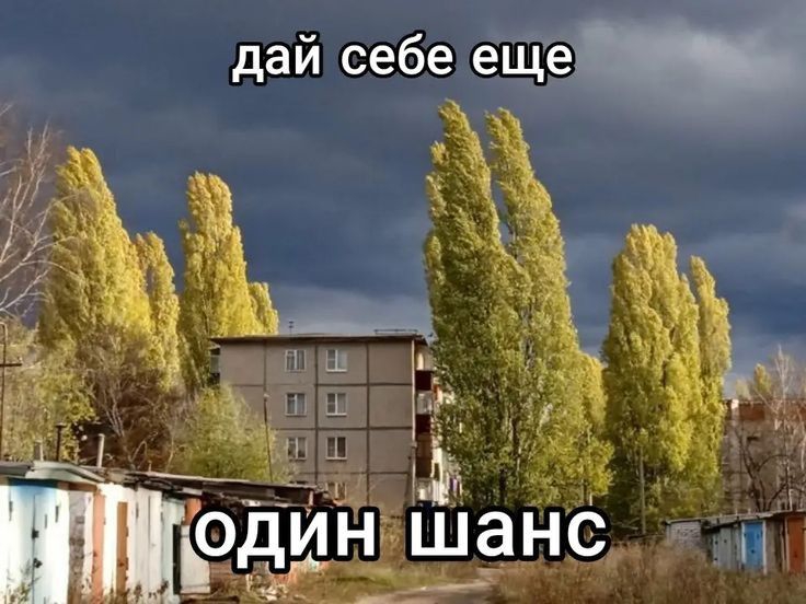 736x552