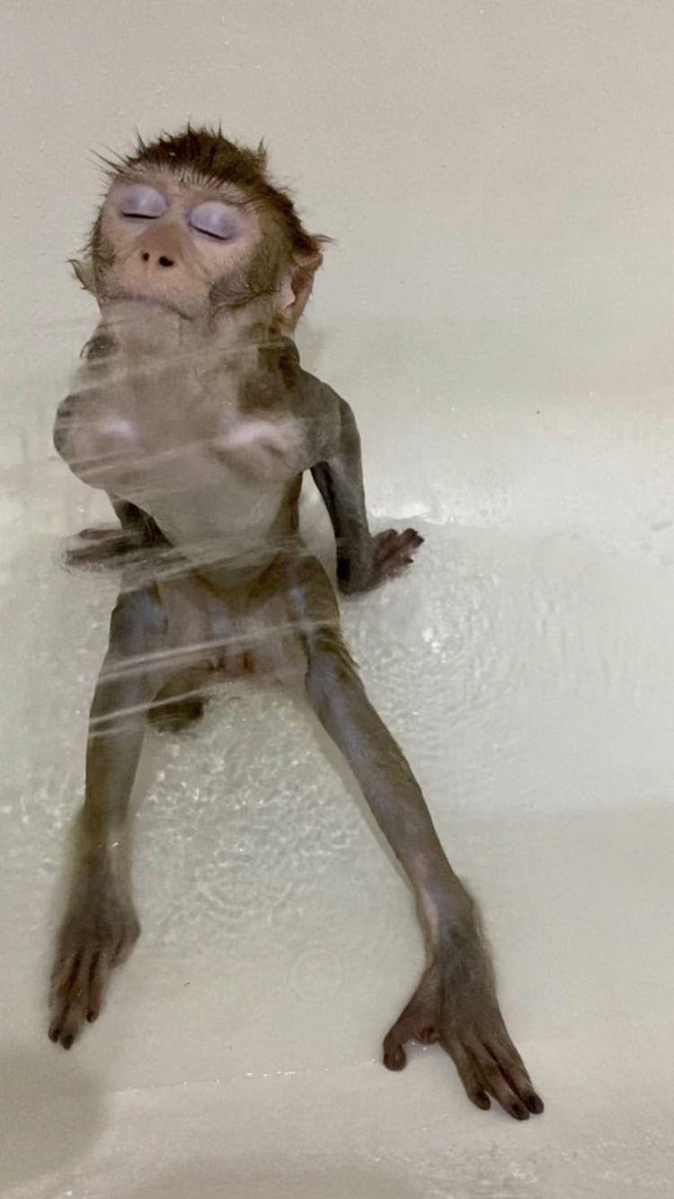 750x1334