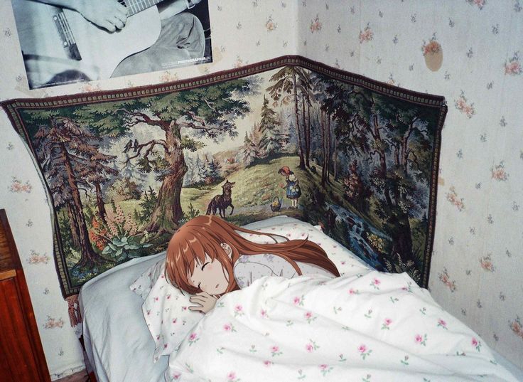 736x537