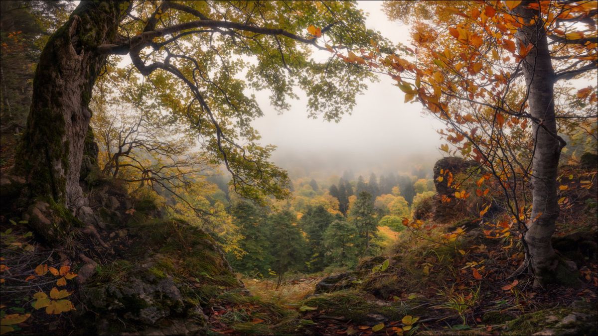 1200x675