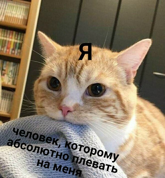 640x690