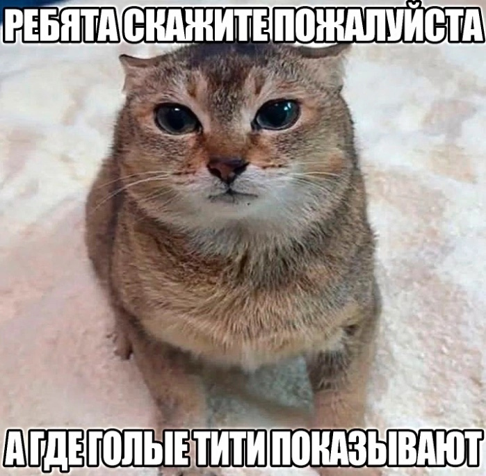 699x685