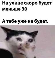 1235x1280