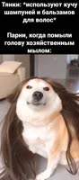 376x854