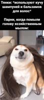 376x854