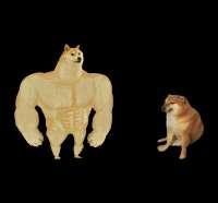 1500x1400