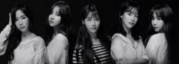 1816x662