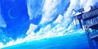 1600x800