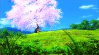 1366x768