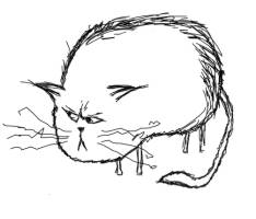 32
