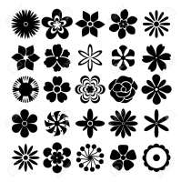 1299x1300
