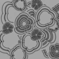 1600x1600