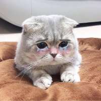 79