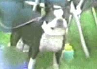1022