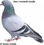 36