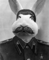 55