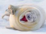 179