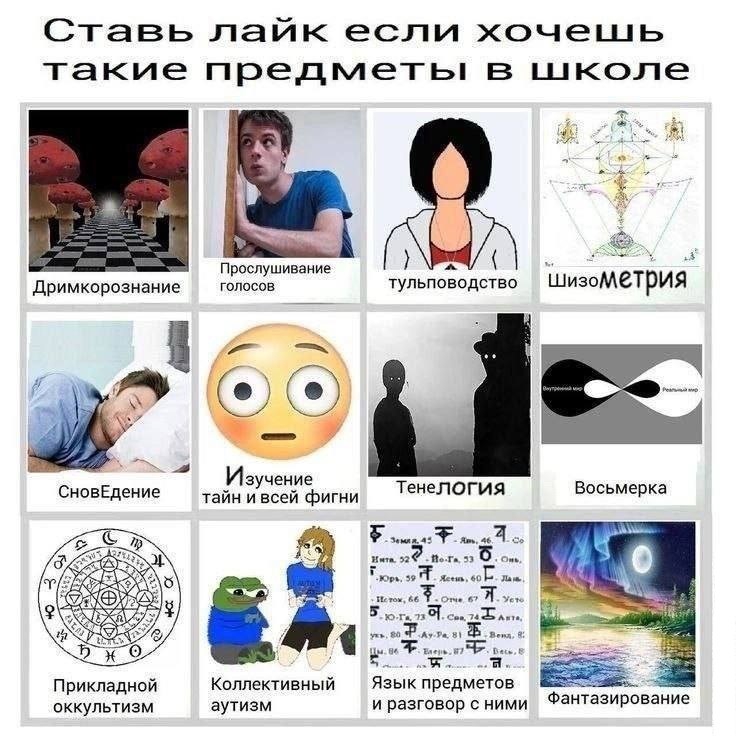 736x736