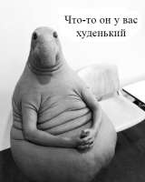 400x500