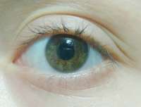 1200x914