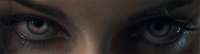 850x232