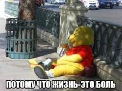 496x371