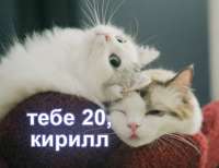 610x470