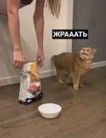 355x463