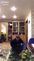 406x720