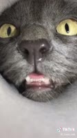540x960