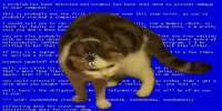 960x480