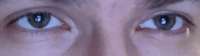 1000x282
