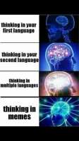 236x420