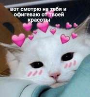 533x573