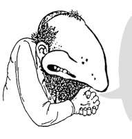 532x557