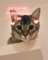 625x770
