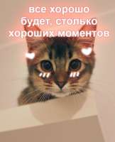 625x770
