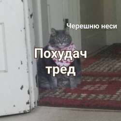 1280x1280