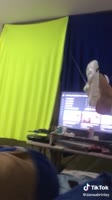 576x1024