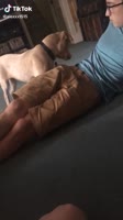 576x1024