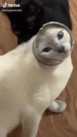576x1024